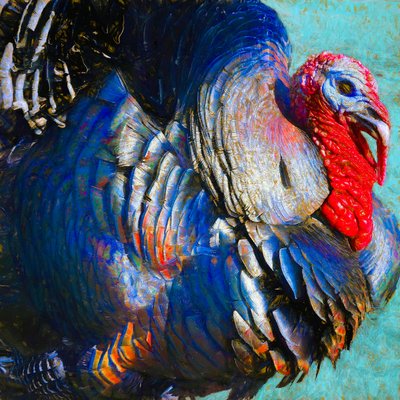 Turkey Lurky, 2018 by Unbekannt Unbekannt